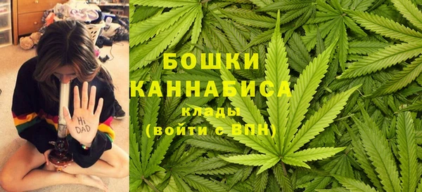 каннабис Белокуриха